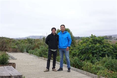 Parque Tricao Dona Rboles Nativos Al Santuario De La Naturaleza