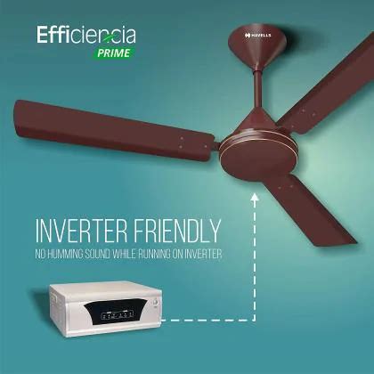 Havells Efficiencia Prime Mm Bldc Motor Brown Ceiling Fan Jiomart