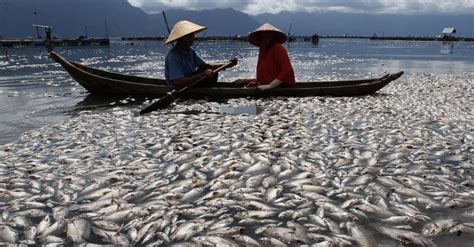 Ini Syarat Nelayan Dapat Bantuan Alat Tangkap Ikan Dari Kkp