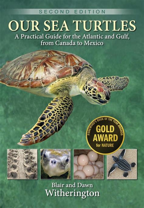 Our Sea Turtles NHBS Field Guides Natural History