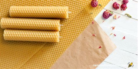 How To Make Rolled Beeswax Candles Carolina Honeybees