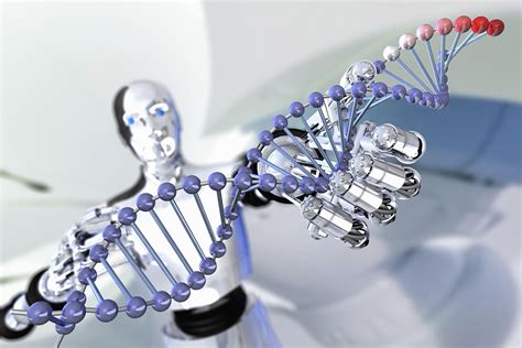 Steps of Transcription From DNA to RNA