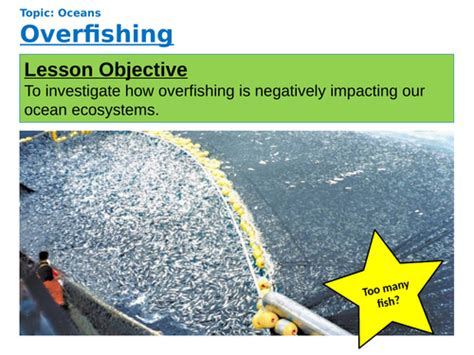 Overfishing: Causes and Problems | Teaching Resources