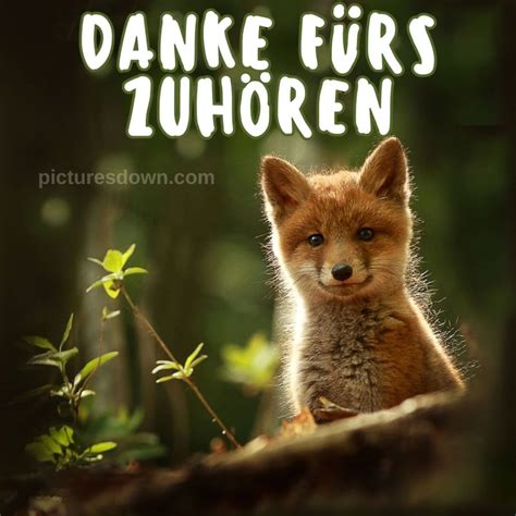 Danke F Rs Zuh Ren Bild Quokka