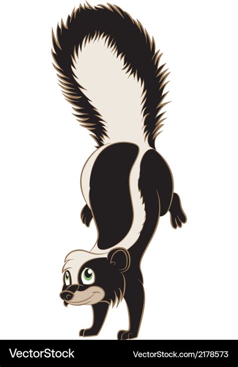 Skunk Royalty Free Vector Image Vectorstock