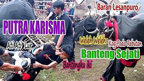 PUTRA KARISMA BANTENG SEJATI OJO BAPER YO LUR Bantengan