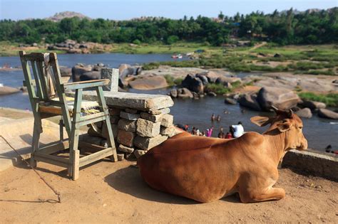 Hampi, India and the Complex of Temples • Choosing Figs