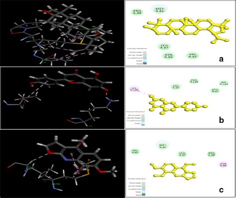 Molecular Docking Interactions Of A Betulinic Acid B Apigenin And