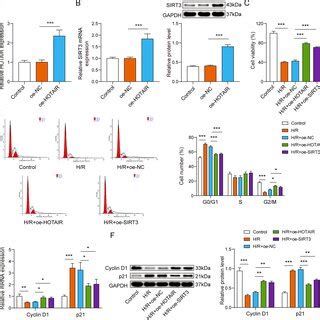 LncRNA HOTAIR Regulated H R Induced Cardiomyocyte Survival Via The