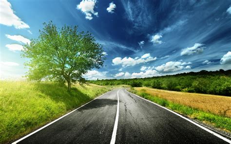 1920x1080 Resolution Gray Asphalt Road Beside Green Leaves Tree