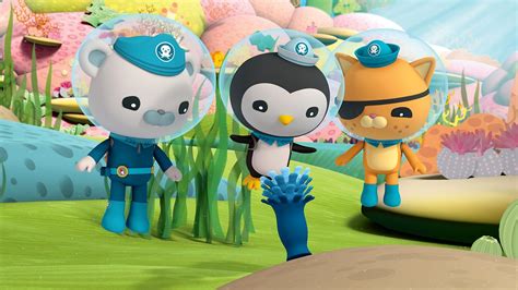 Bbc Iplayer Octonauts Series Immortal Jellyfish