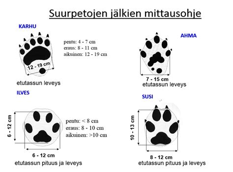 Yläosa 40 imagen ketun jäljet lumella abzlocal fi