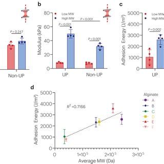 Chitosan Topological Adhesion Depends On PH Polymer Concentration And