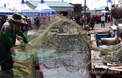 부산 기장 멸치미역다시마 축제 개막 연합뉴스