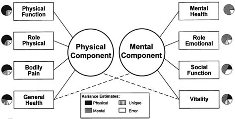 SF 36 Scales Measure Physical And Mental Components Of Health Source