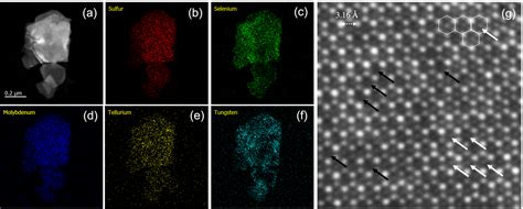 Structure Characterization Of D Tmd Alloys At The Nanometer And Atomic