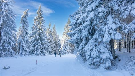 Skiwanderweg Rennsteig 07 Grenzadler Suhler Ausspanne Langlauf