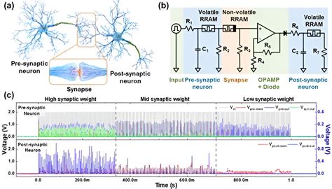 Implementing artificial neural network hardware systems by stacking them like 'neuron-synapse ...