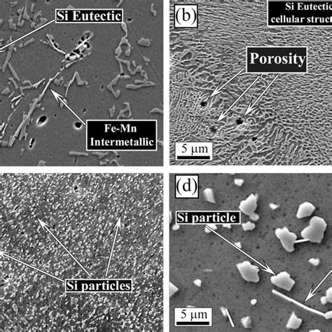 Scanning electron microscope (SEM) images, secondary electron mode, of ...