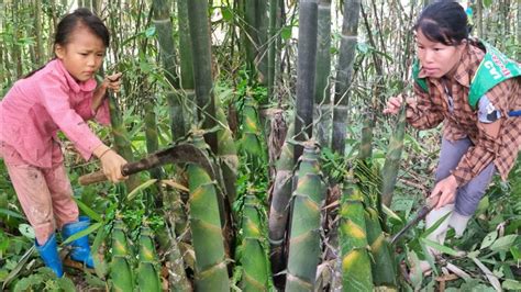 Going To The Forest To Harvest Bamboo Shoots And Helping My Grandmother