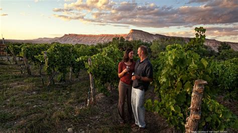 Business@Leisure: Wine tasting by bicycle in Palisade, Colorado ...