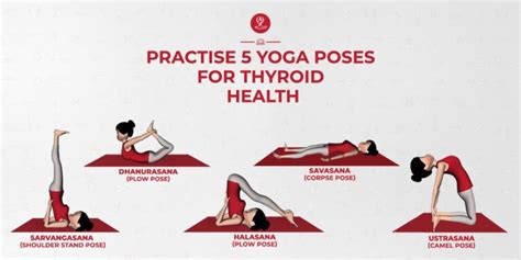 Yoga For Thyroid Yoga Poses For Thyroid Health Artofit