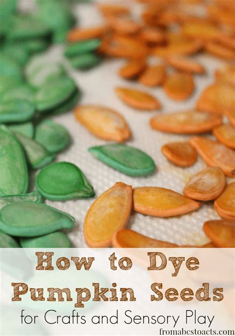 How To Dye Pumpkin Seeds From Abcs To Acts