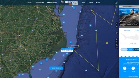 Great White Shark Tagged Off Canada Found Along Outer Banks