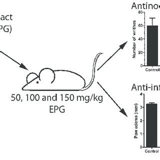 Graphical Abstract of antinociceptive and anti-inflammatory effects of ...