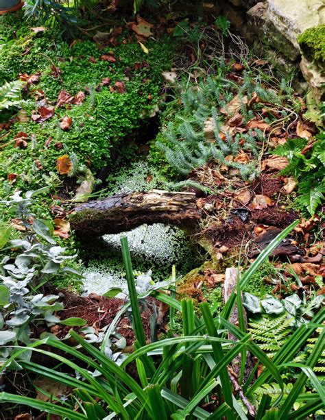 Une mare naturelle au jardin visites et méthodes Le potager permacole