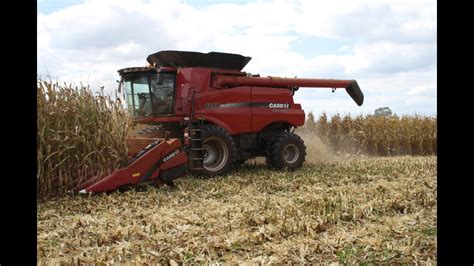 Case Ih Combines Shelling Corn Youtube