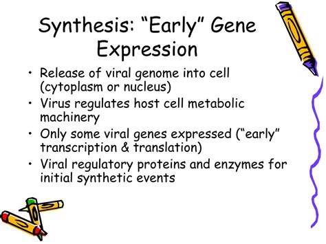 Ppt Human Viral Disease Virus Replication Cycle Powerpoint