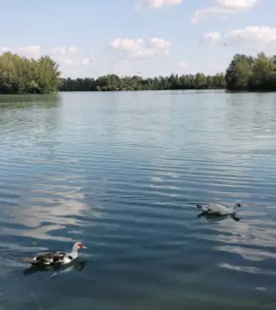 Pêche Lac de Lavernose Fishsurfing