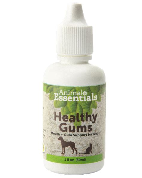 Animal Essentials Healthy Gums Supplement For Dogs And Cats 1oz