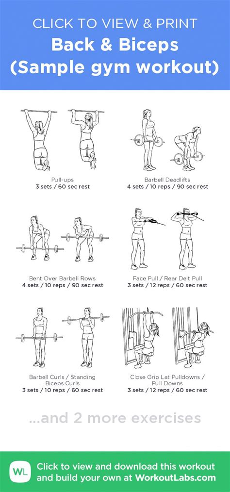 Back Biceps Sample Gym Workout Illustrated Exercise Plan Created