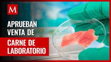 Carne De Pollo Cultivada En Laboratorio Aprobada Para Su Venta Grupo