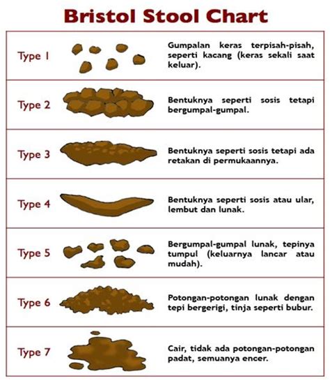 Variasi Warna Dan Bentuk Tinja Feces Bayi Kesehatan