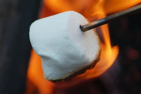 Marshmallow Roasting stock photo. Image of roast, camp - 225768