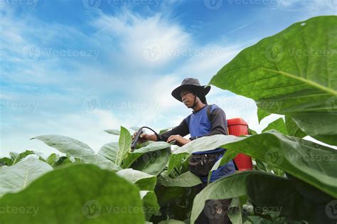 Farmers use agricultural equipment and tools. Mix maintenance potions