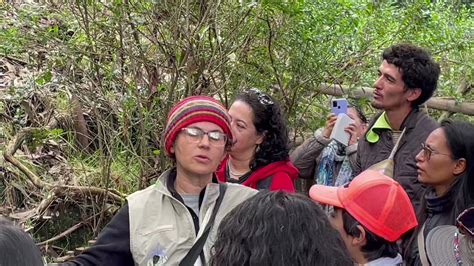 Fundación Cerros de Bogotá on Twitter Todo nuestro agradecimiento a