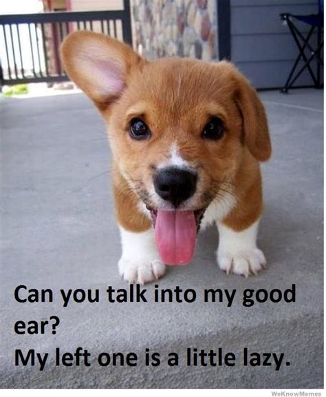 Puppy Love Quotes. QuotesGram