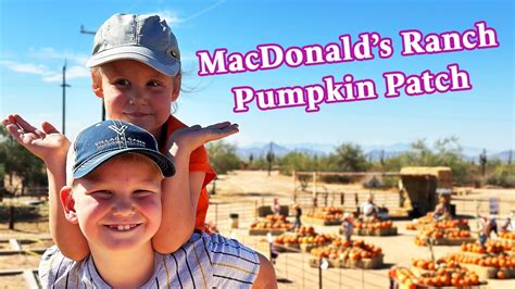 Pumpkin Patch In Scottsdale Macdonalds Ranch Pumpkin Patch In Scottsdale