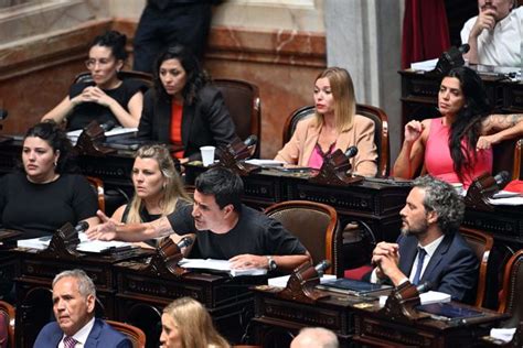 Ley ómnibus duros cruces en Diputados por el operativo de seguridad