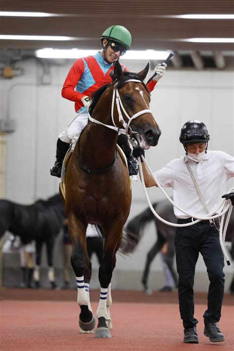 【注目馬動向】ハンディーズピークがサウジダービー、uaeダービーに登録 Umatoku 馬トク