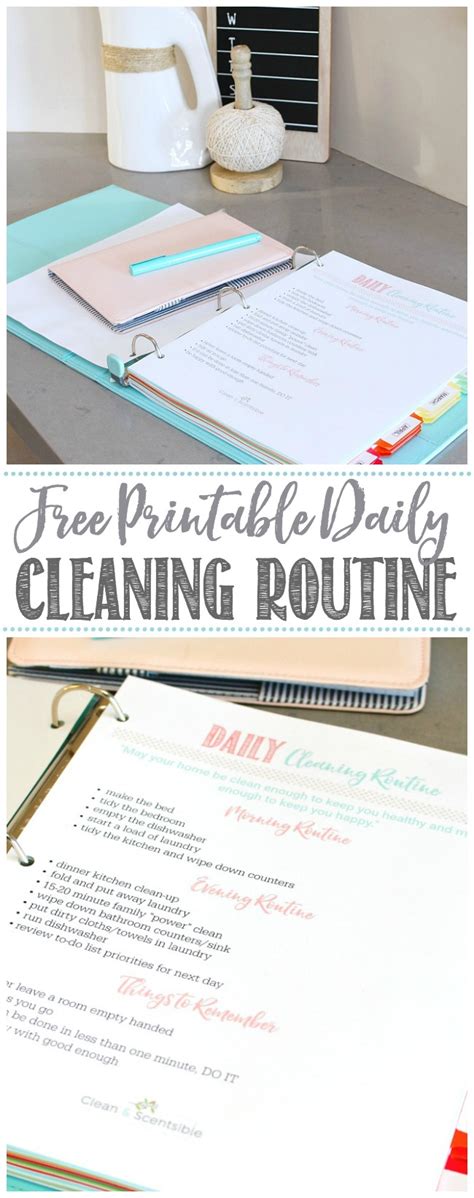 Daily Cleaning Routine Tips and a Free Daily Cleaning Routine Printable ...