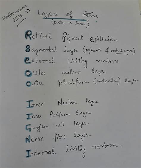 Medicowesome: Layers of retina