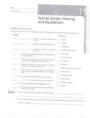 Hearing And Equilibrium Name Lab Time Date Special Senses Hearing