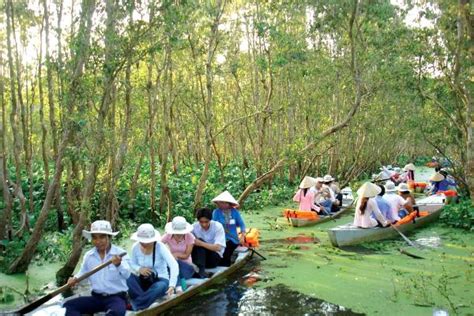 Khu Du Lịch Sinh Thái Rừng Đước đẹp Như Thước Phim Nghệ Thuật Xem Tin Tức