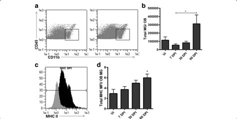 Resident Microglia Numbers And Mhc Class Ii Expression On Individual