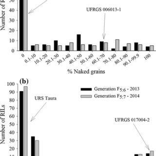 Phenotypic Screening Of The Naked Trait In Hexaploid Oat A Naked RILs